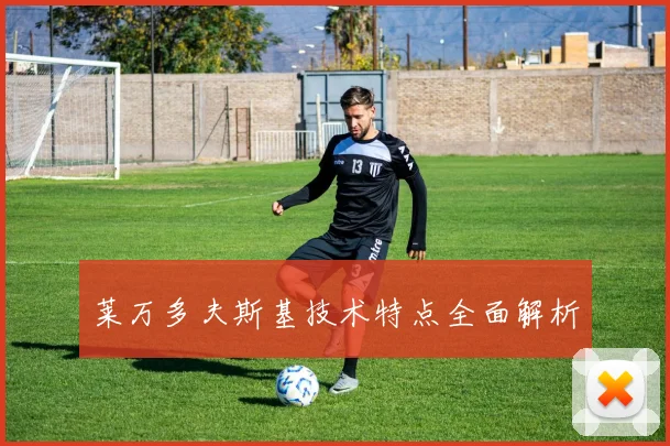 莱万多夫斯基技术特点全面解析