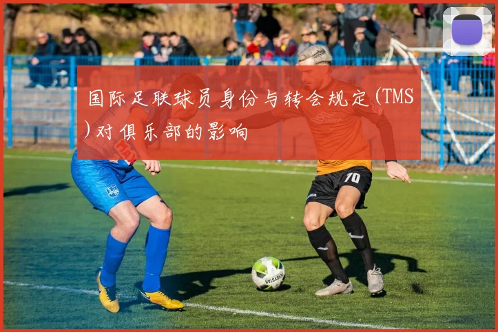 国际足联球员身份与转会规定(TMS)对俱乐部的影响
