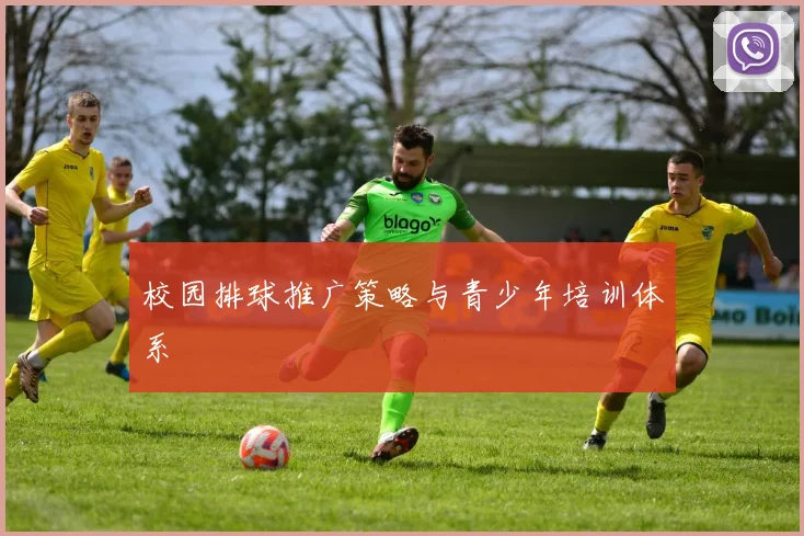 校园排球推广策略与青少年培训体系