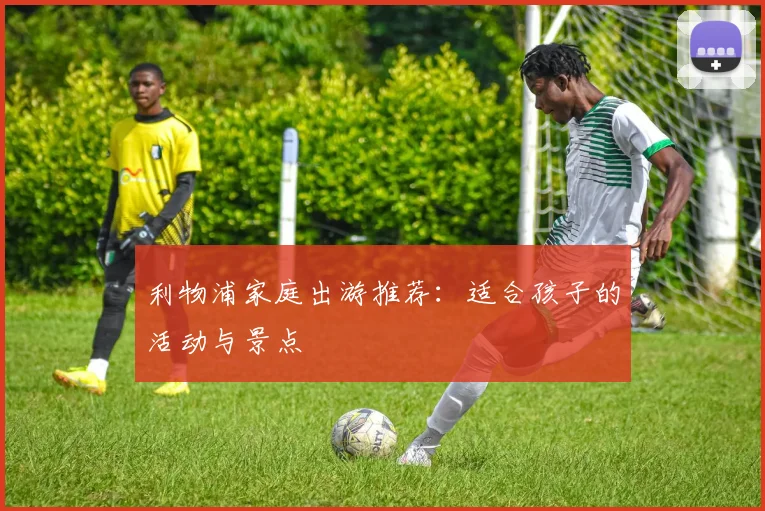 利物浦家庭出游推荐:适合孩子的活动与景点